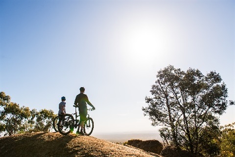 Mountain bikes at the top of a mountain