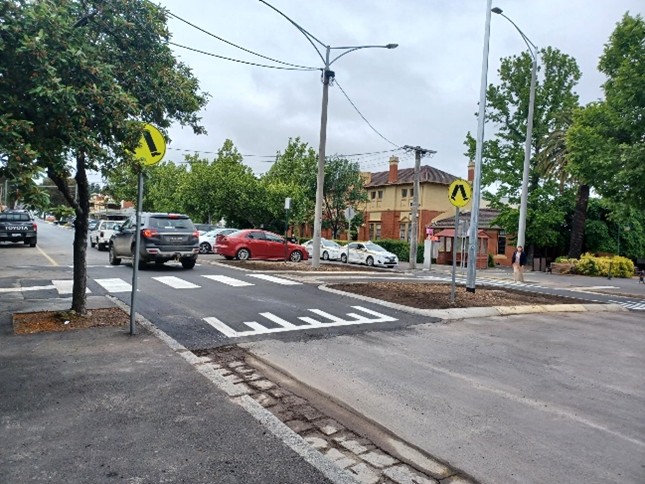 Vehicle view of wombat crossing on Mostyn Street