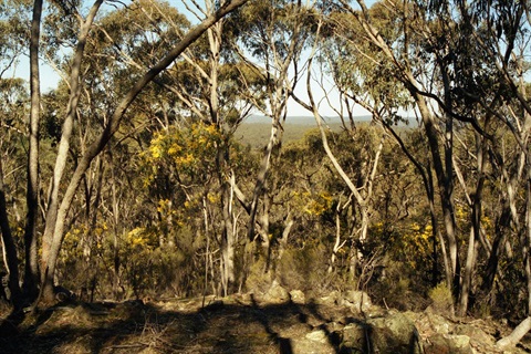 Fire Danger Period image