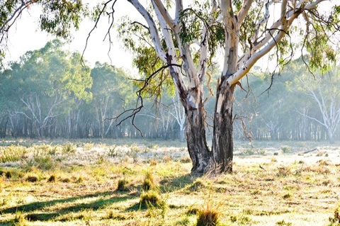 Fire danger period_mr_1813x540.jpg