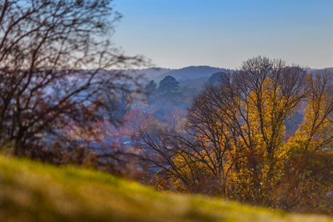 Foggy landscape and township_Richard Baxter_High resolution - option 1.jpg