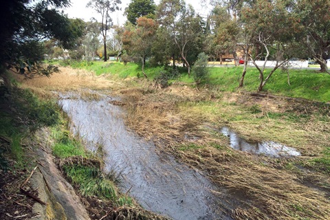 Forest Creek 1200x800.jpg