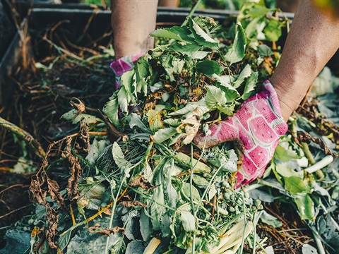 Green_Waste_2023_1200x900.jpg