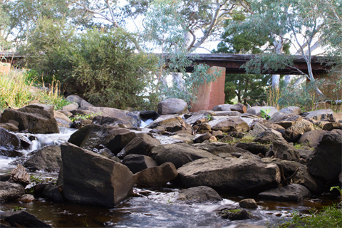 Larni Barramal Yaluk