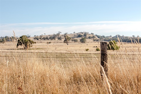 Rural Land Use Strategy_mr_1200x800.jpg