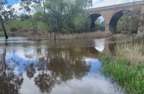 Flooded waters underneath rail viaduct