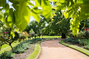 Castlemaine Botanical Gardens