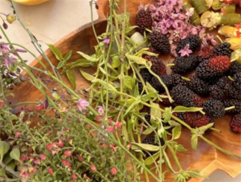 Murnong Mummas Farm Tour.png