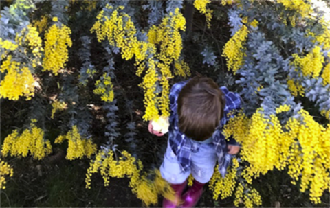 Nature play at Buda.png