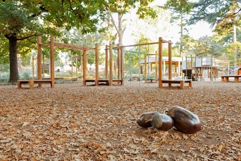 Acorns, Nicolas Dunand, Cast Bronze, Castlemaine Botanical Gardens