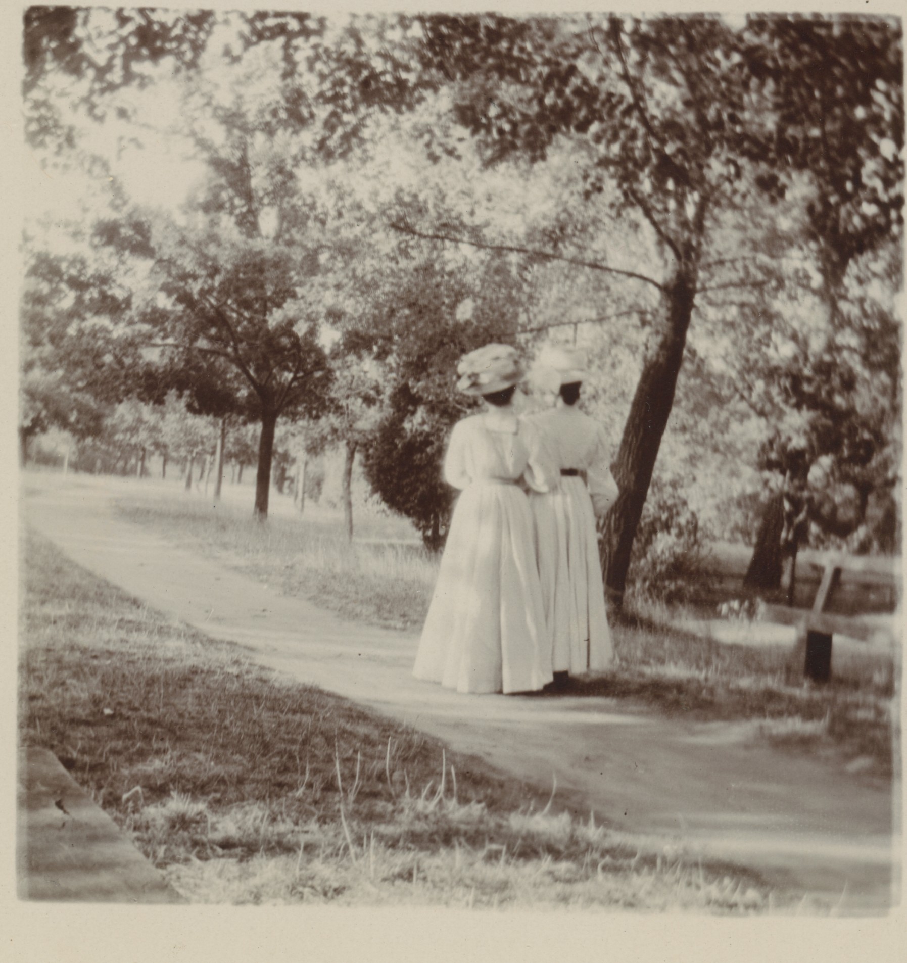 Leviny-sisters-at-the-Castlemaine-Botanical-Gardens-1908-collection-of-Buda-Historic-Home-and-Garden.jpg