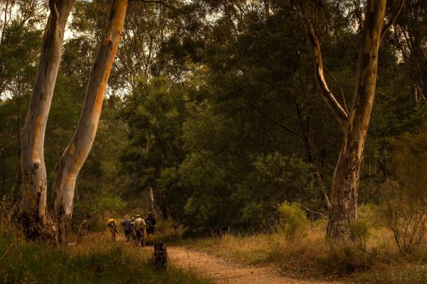 Mt-Alexander-Photographic-Society-Bush-track.jpg