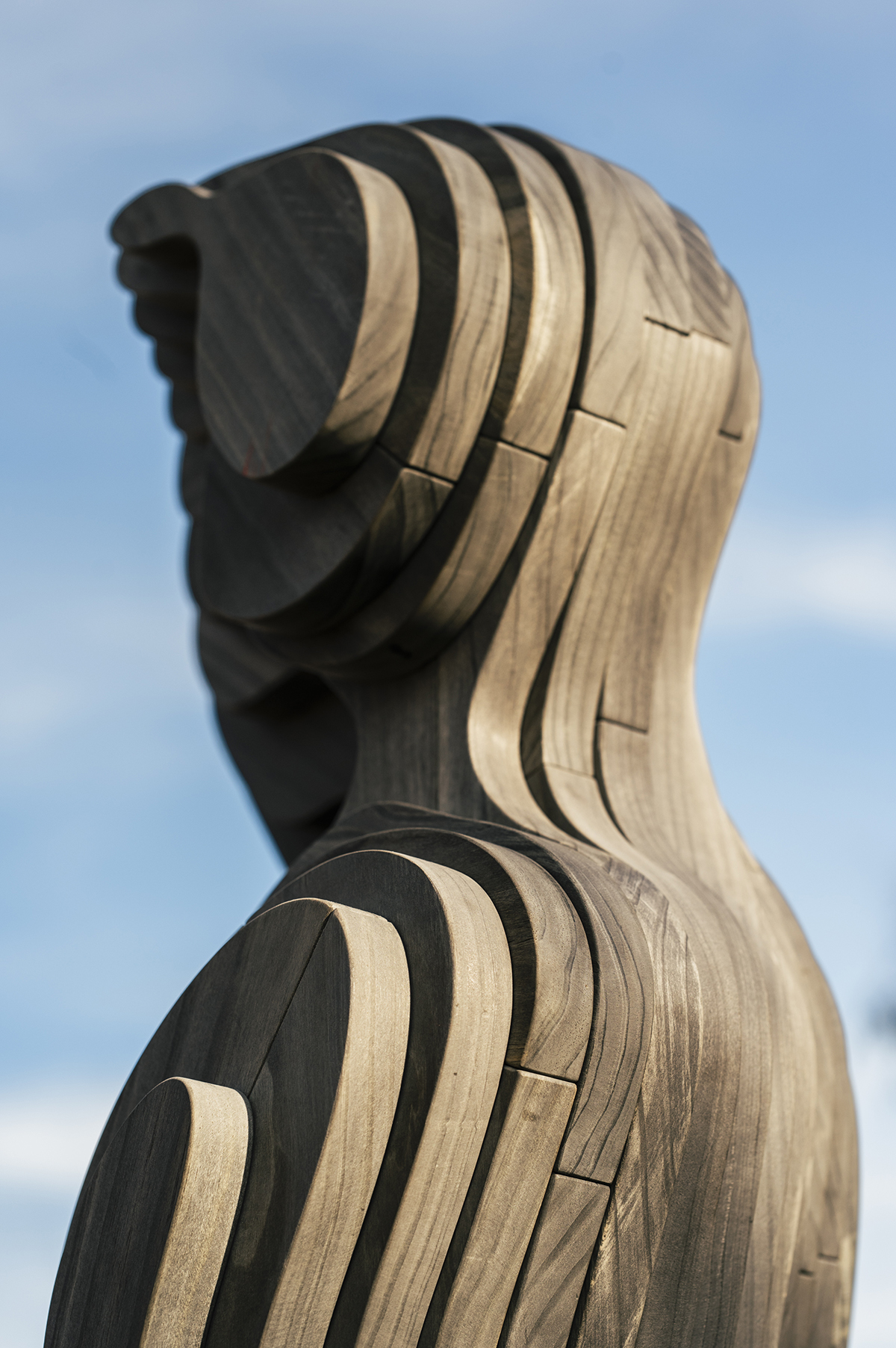 head and torso showing the wood grain of Wildflowers sculptures. Blue sky in background
