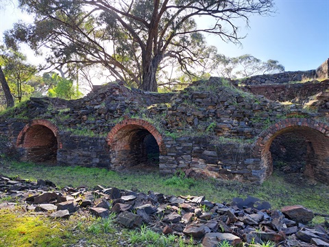 Roasting-kilns-at-Nth.-British-Mine-Maldon-Historic-Reserve
