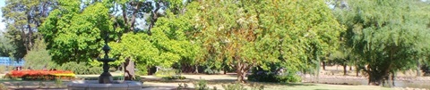 cropped-botanic-gardens-header1