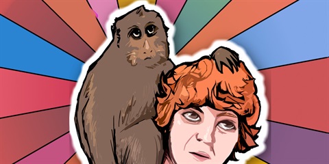 monkey.jpg