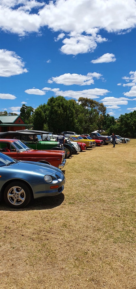 peter turner show and shine.jpeg
