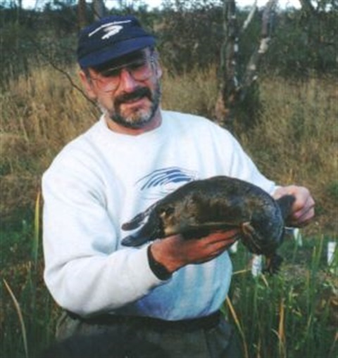 Platypus Campbells Creek.jpg