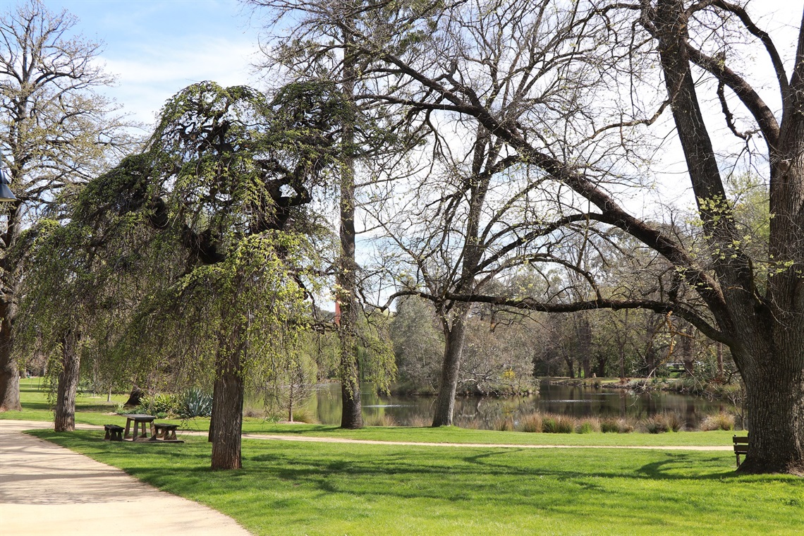 BOTANICAL GARDENS CASTLEMAINE.JPG