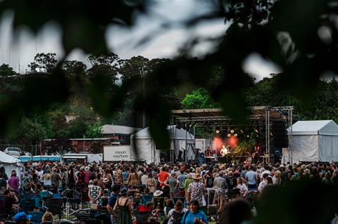 town folk festival.jpg
