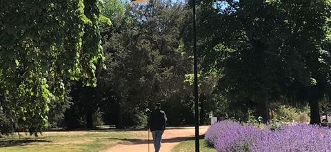 Castlemaine_Botanical_Gardens_lights_960_x_440.jpg