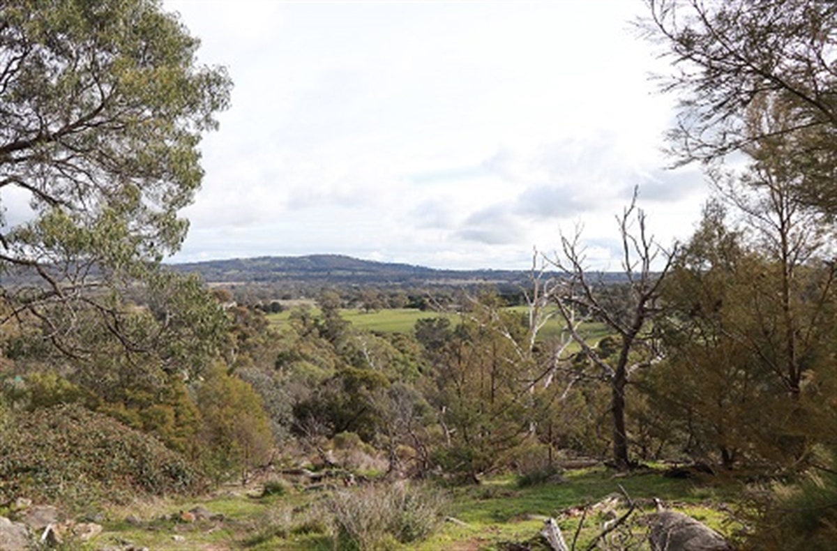 Council adopts climate change strategy Mount Alexander Shire Council