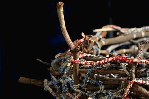 Nest_1200x800.jpg